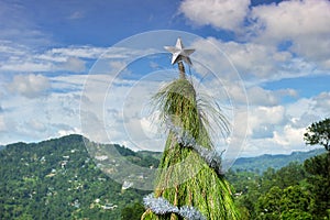 Unusual Christmas tree for the new year