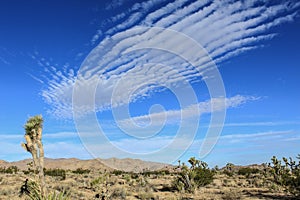 Unusual Clouds Like Lines Over Joshua Tree National Park