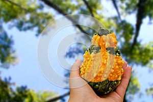 Unusual flavovirent vegetable