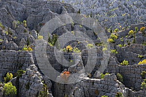 Unusual geographic formations in the Mediterranean region in Turkey, mountains, wildlife and spectacular landscapes