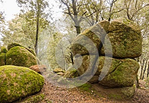 Unusual geologic rock formation forest view