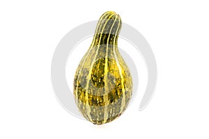 Unusual gourd on white