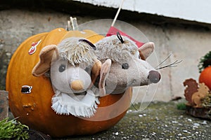 Unusual halloween pumpkin, carved door with two plush mouses looking out