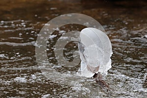 Unusual icicle in the river in winter.