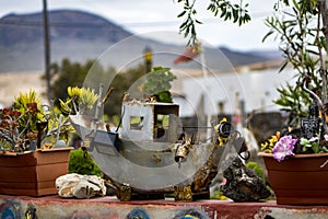 Unusual and interesting picture with texture and colour in Fuerteventura Las Palmas in the Canary-Islands Spain