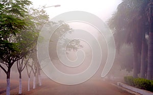 The unusual Mist photo