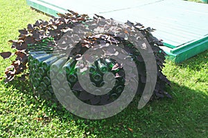 Unusual original bed of green champagne bottle