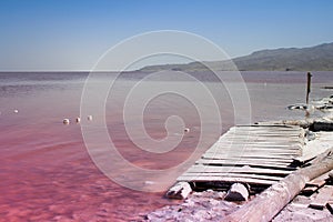 The unusual pink Lake Urmia, full of salt photo