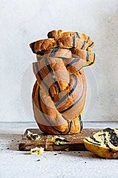 Unusual pumpkin marbled tiger print bread with cuttlefish ink, braided on a wooden board on a light background.