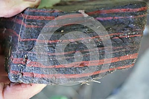 Unusual red and black horizontal striped rock held between fingers