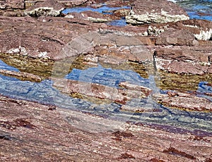 Unusual rock structure against the sea water background, interesting geological object at Hallett Cove, Australia