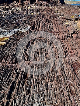 Unusual rock structure against the sea water background, interesting geological object at Hallett Cove, Australia