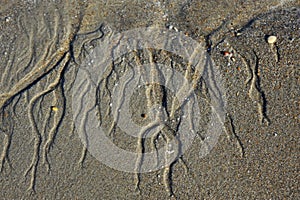 Unusual sand patterns on ocean beach