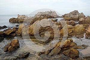 Unusual sandstone emerging from the sea. reef rocks on natural background.