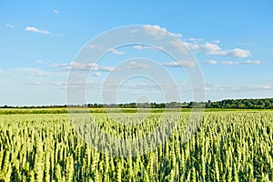 Unusual scene of the countryside with white fluffy clouds