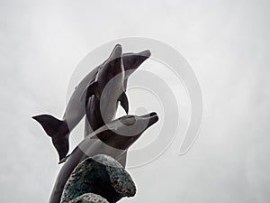 Unusual sculpture of dolphins against the sky. Beautiful mammal statue