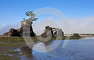 Unusual sea stacks, Oregon coast