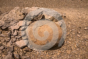 Unusual shape rock