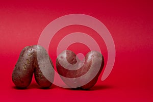 Unusual shaped vegetables. Two ugly heart-shaped potatoes on a red background. Copy space