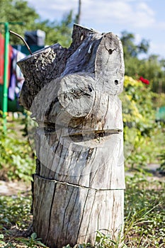 An unusual and strange tree stump stands in the garden.