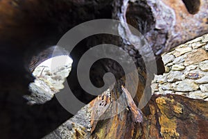 Unusual view looking through a rusty rivet hole of a boiler drum on the now unused site of the Porth Wen Brickworks on Anglesey