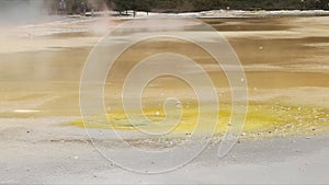 Unusual yellow sulfur deposit at a thermal pool near rotorua in new zealand
