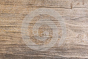 An unvarnished wooden surface with many grains