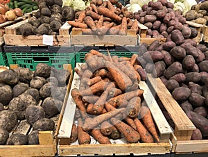 Unwashed carrots, beets and potatoes in a supermarket