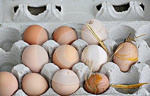 Unwashed fresh organic eggs