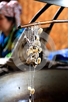 Unwinding Silk From Cocoons