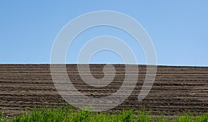 Unworked field with green grass in the front