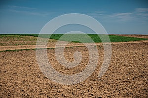 Unworked field with wheel tracks in spring near wheat land. Dirt texture with blue sky. Country dirt field texture.