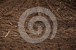 Unworked land, field with wheel tracks in spring. Dirt texture. Country dirt field texture.