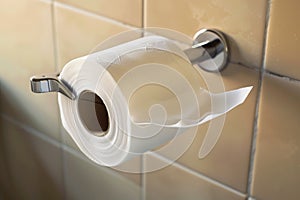 unwound toilet paper roll on holder with end trailing