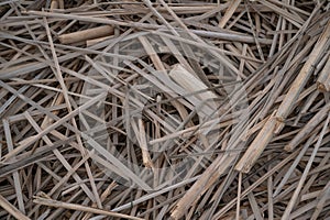 Unwrought dried reed on the lake shore background