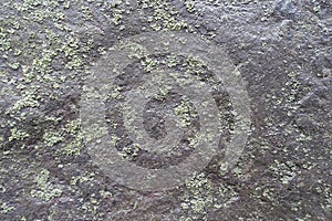 Unwrought surface of black stone with lichen