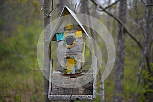 `up on 110st` dilapidated bird house with dichroic glass windows