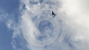 Up amongst the clouds: ultralight aircraft's tranquil glide over a spectacular canvas of blue and white, embracing open sk