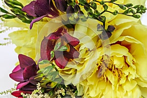Up close bridal bouquet Yellow Peony Purple Freesia