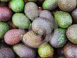Up close a freshness Avocados fruit for sell in the supermarket