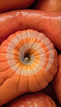 An up-close look at a group of ripe vivid Papaw with intricate, textured details. photo