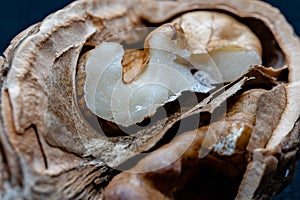 Up close macro view of a cracked walnut.