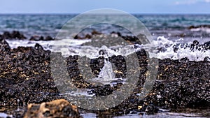 Up close shot of a tine blowhole producing stream of bubbles in a tide pool. photo