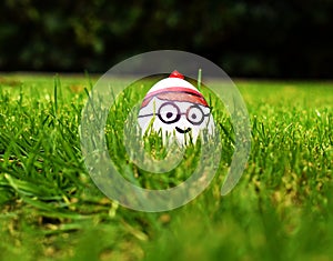 Up close of Where is Waldo Character egg with funny facial expression in grass