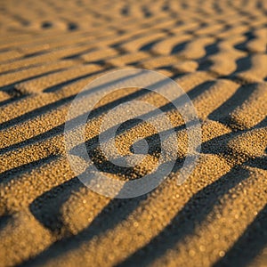 Up perspective emphasizes the intricate patterns and textures