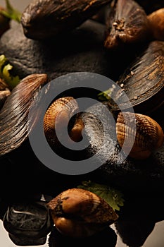 Up view of uncooked cockles and