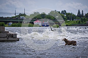 Upa River landscape.