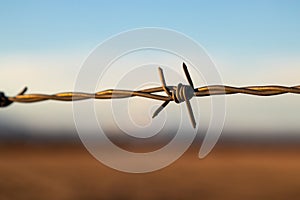 Upclose Barbed Wire Fence in golden hour