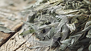 An upclose look at a bundle of dried mugwort a common Chinese herb used in acupuncture with its feathery leaves and