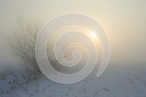 Upcoming valley fog in a snow landscape at sunset